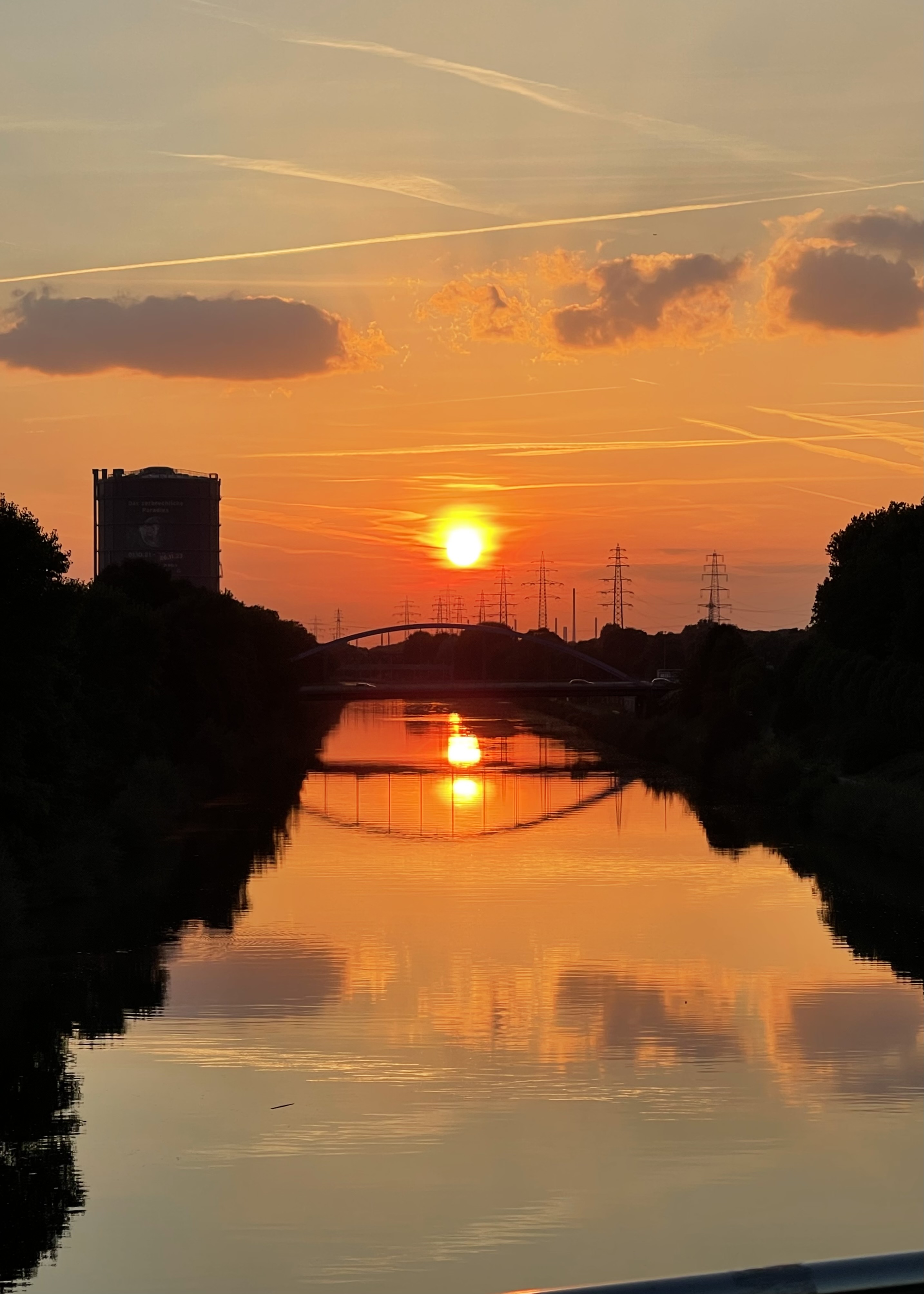 Saxonetten in Reih und Glied aufgestellt