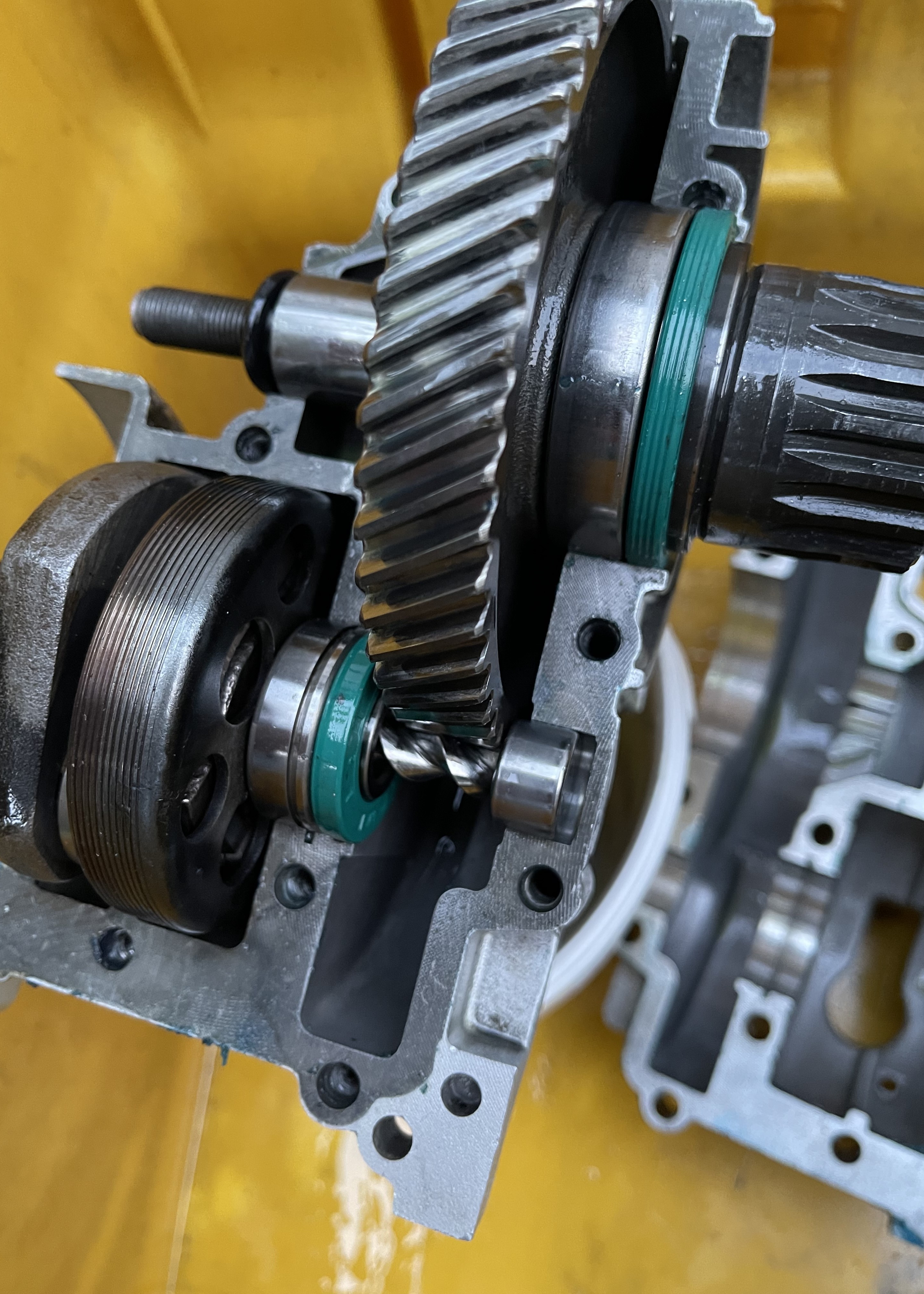 Gemeinsames Schrauben an einer Saxonette